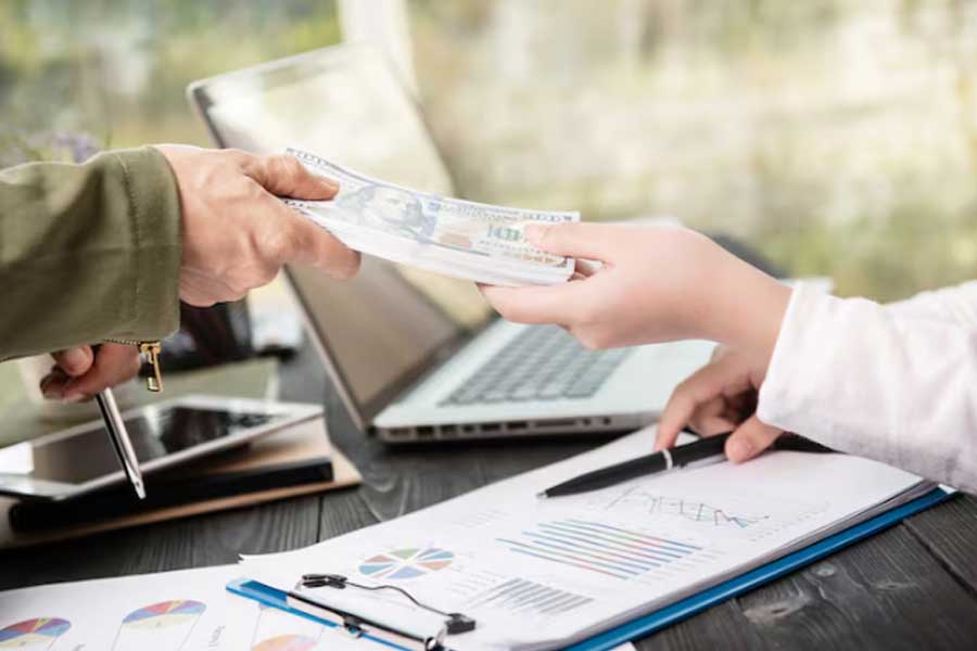 Vasudhaiva finance function and business capability