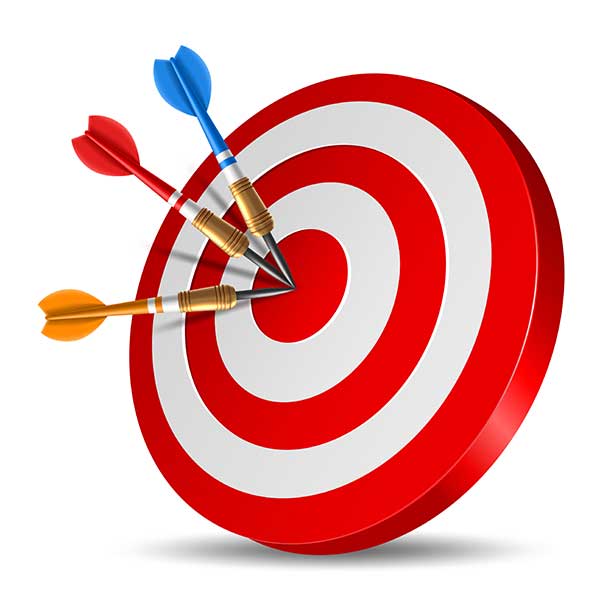 Vision, mission and values at Vasudhaiva